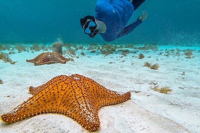 Cayman Combo Tour: Stingrays, Starfish Point and Crystal Caves - An Overview of the Cayman Combo Tour