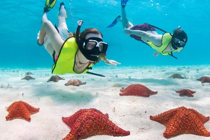 Cayman Combo Tour: Stingrays, Starfish Point and Crystal Caves - Stop 2: Starfish Point – Quiet Shores and Vibrant Creatures