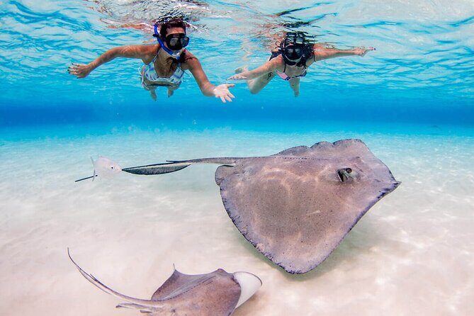Cayman Combo Tour: Stingrays, Starfish Point and Crystal Caves - The Experience: Realities from Travelers