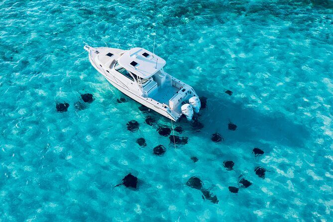 Cayman Private Luxury Charters - Stingray City, Snorkel, & More - Key Points