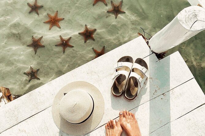 Cayman Ultimate Tour: Stingray City, Snorkeling & Beach Lunch - Who Will Love This Tour?