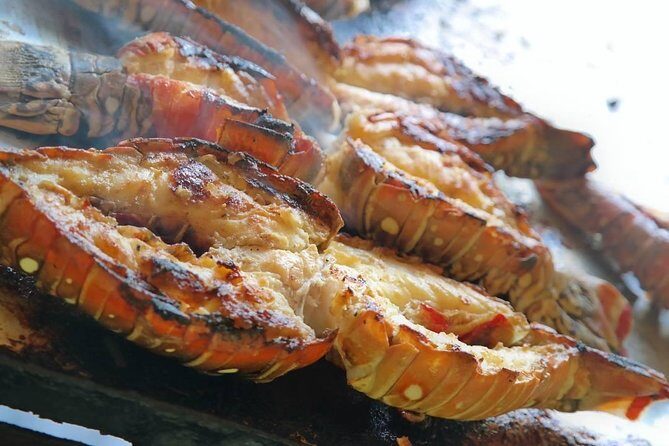 Cayo Arena Catamaran Cruise from Puerto Plata with Lunch - Final Thoughts