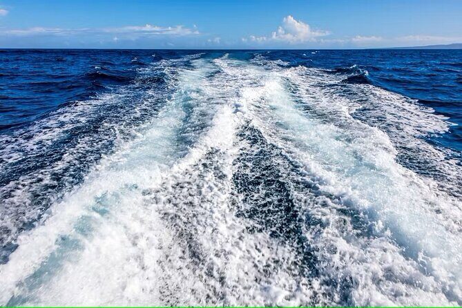 Cayo Arena Exclusive Tour with Lunch - Final Thoughts