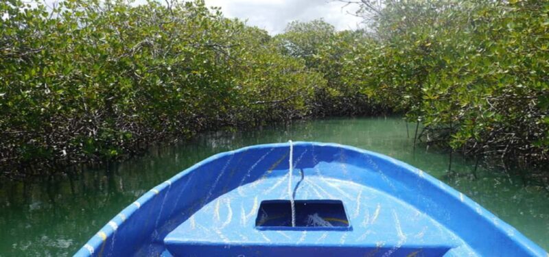Cayo Arena & Mangroves Tour with Snorkeling & Food - Why This Tour Stands Out