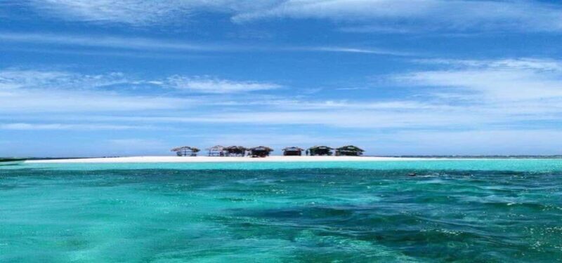 Cayo Arena & Mangroves Tour with Snorkeling & Food - The Sum Up