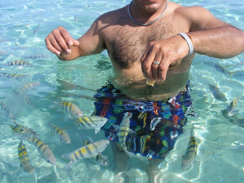 Cayo Arena: Paradise Island and Mangroves Private Tour - Accessibility and Restrictions