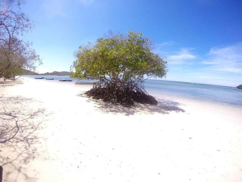 Cayo Arena: Paradise Island and Mangroves Tour - Pricing and Value