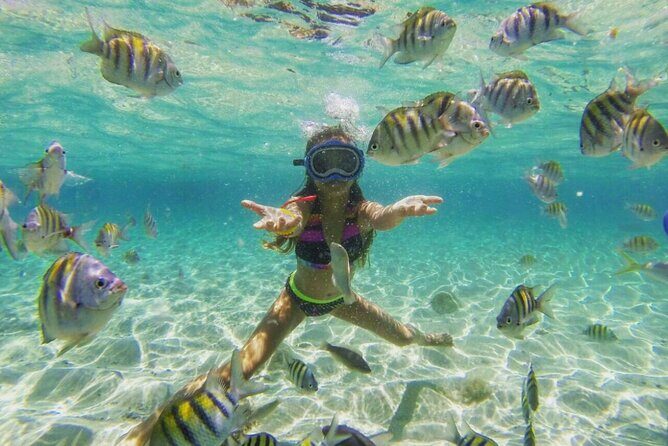 Cayo Arena: Paradise Island and Mangroves Tour Lunch - Exploring the Tour: A Deep Dive into the Experience