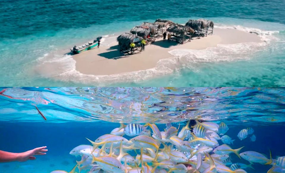 Cayo Arena: Paradise Island & Magroves Tour Private - Key Points