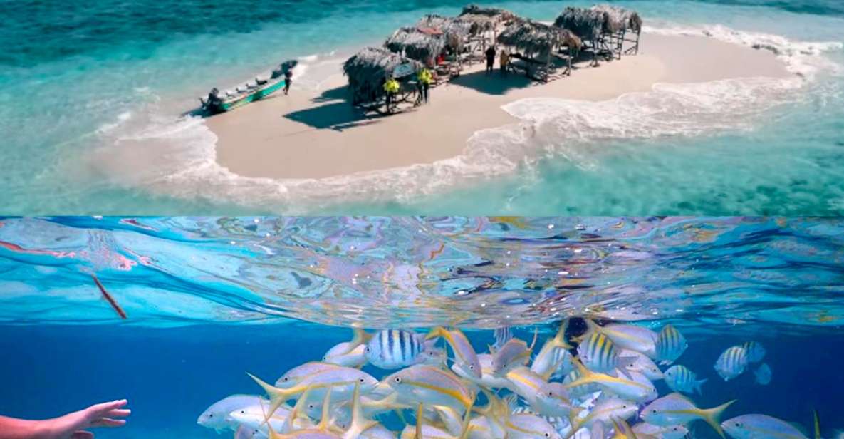 Cayo Arena: Paradise Island & Magroves Tour Private - Local Market Visit