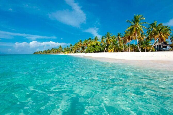 Cayo Levantado, Isla Bacardí and Whale Watching in Samaná - The Crowd and the Experience