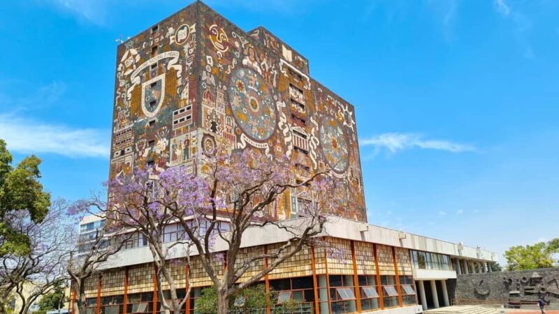CDMX: Coyoacán, UNAM, Xochimilco, and optional Frida Kahlo Museum - Final Thoughts: Is It Worth It?