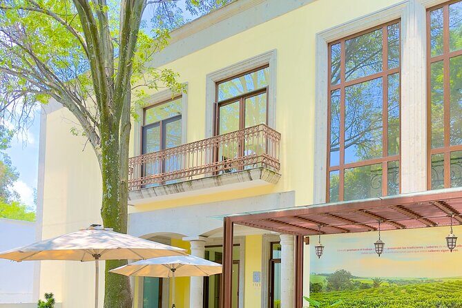 CDMX from Heaven Diego Rivera and Cantina Presidential Mansion - Who Should Consider This Tour?