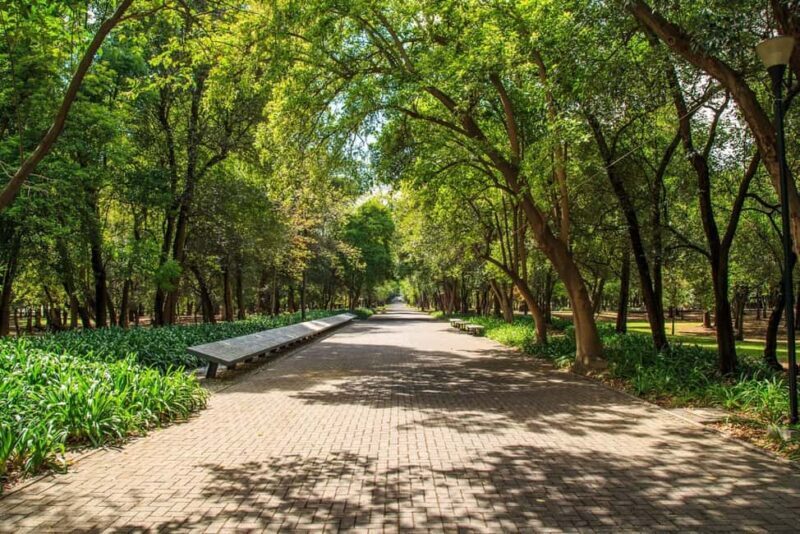CDMX: Private bicycle tour through the Chapultepec Forest. - Exploring Mexico City’s Largest Park by Bike
