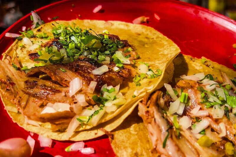 CDMX Street Food: Tour of Local Markets. - Practical Tips for Participants