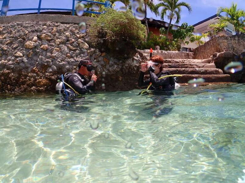 Cebu: Beach Scuba Diving Experience - The Practicalities and Value for Money