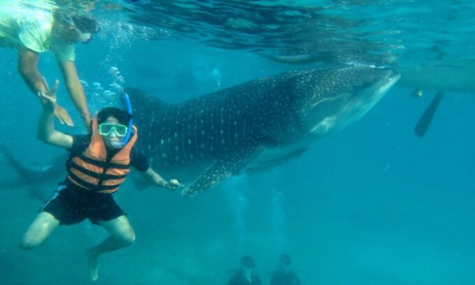 Cebu: Car Charter With Driver - Customer Satisfaction