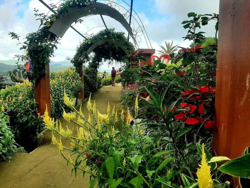 Cebu City: Cultural Heritage Tour & 10,000 Roses Visit - An Overview of What to Expect