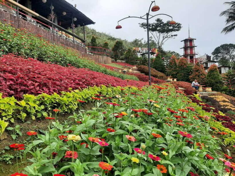 Cebu City: Cultural Heritage Tour & 10,000 Roses Visit - Final Thoughts: Who Will Love This Tour?