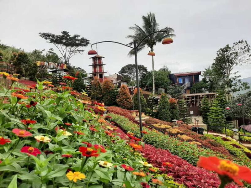 Cebu City: Cultural Heritage Tour & 10,000 Roses Visit - FAQ
