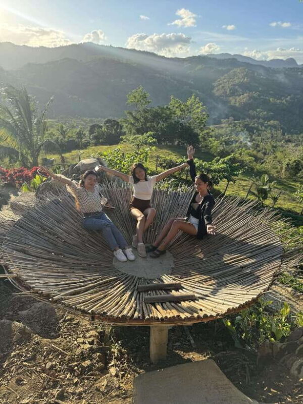 Cebu: City Highlights with Sirao Flower Garden Visit - A Detailed Look at the Tour Experience  