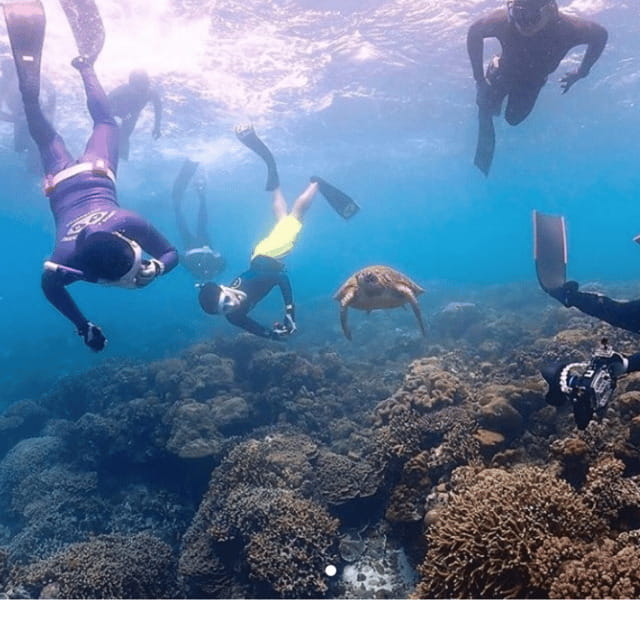 Cebu city to Pescador Island & Kawasan Canyoneering Tour - Final Thoughts