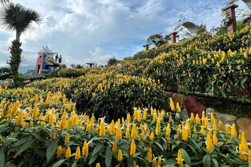 Cebu: Highlands Guided Tour w/ Hotel Pickup - FAQs