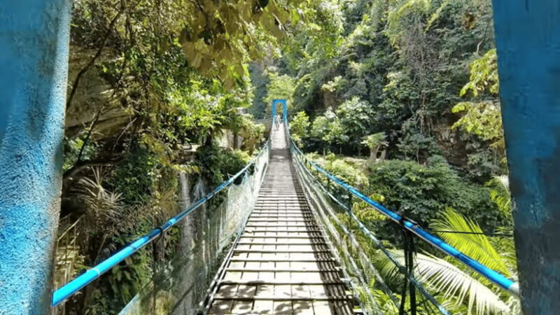 Cebu: Inambakan, Kawasan, and Mantayupan Falls Day Trip - The Sum Up: Who Will Love This Tour?