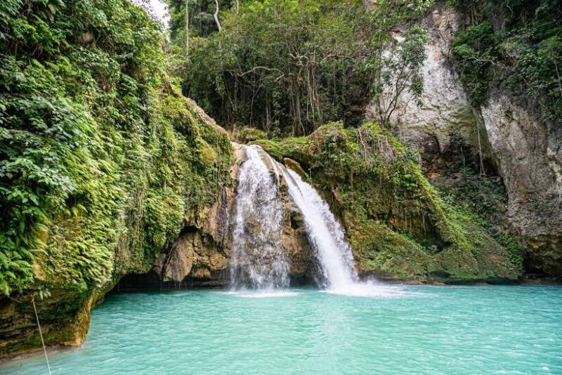 Cebu: Kawasan Canyoning, Moalboal Snorkeling, & Turtles Tour - Key Points