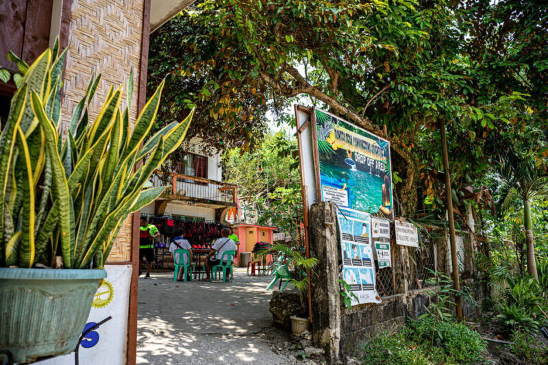 Cebu: Kawasan Canyoning, Moalboal Snorkeling, & Turtles Tour - FAQ
