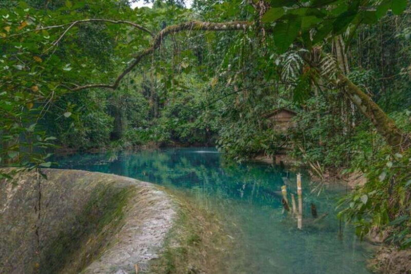 Cebu: Kawasan Falls Canyoneering Direct Admission Ticket - Who Would Enjoy This Tour?