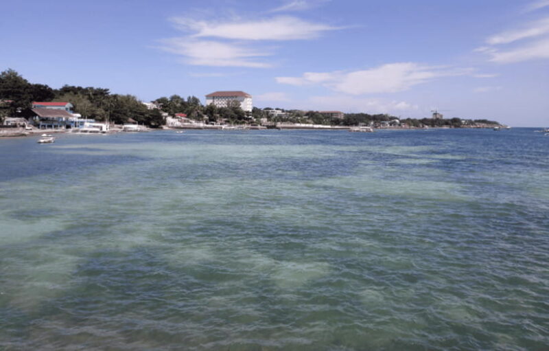 Cebu & Lapu-Lapu City Tour With Lunch at House of Lechon - Authentic Experiences & Authenticity