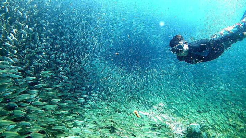 Cebu: Mactan Island Hopping Tour with Snorkeling - An In-Depth Look at the Mactan Island Hopping Tour
