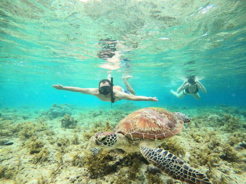 Cebu: Moalboal Sardines Run Snorkel & Kawasan Canyoneering - Final Thoughts