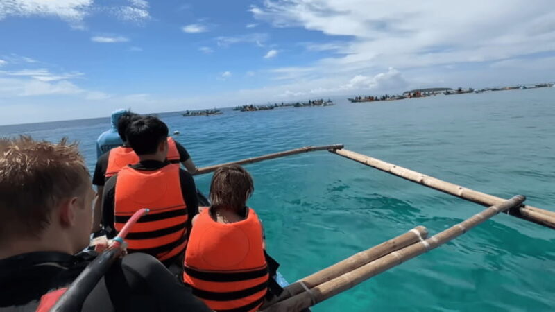 Cebu: Oslob Whale Shark and Moalboal Snorkeling Tour - An Introduction to the Tour