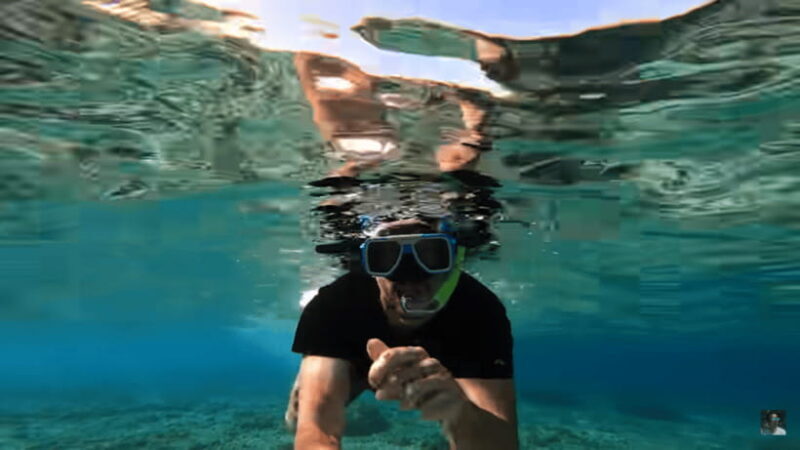 Cebu: Oslob Whale Shark and Moalboal Snorkeling Tour - Practical Tips for Travelers