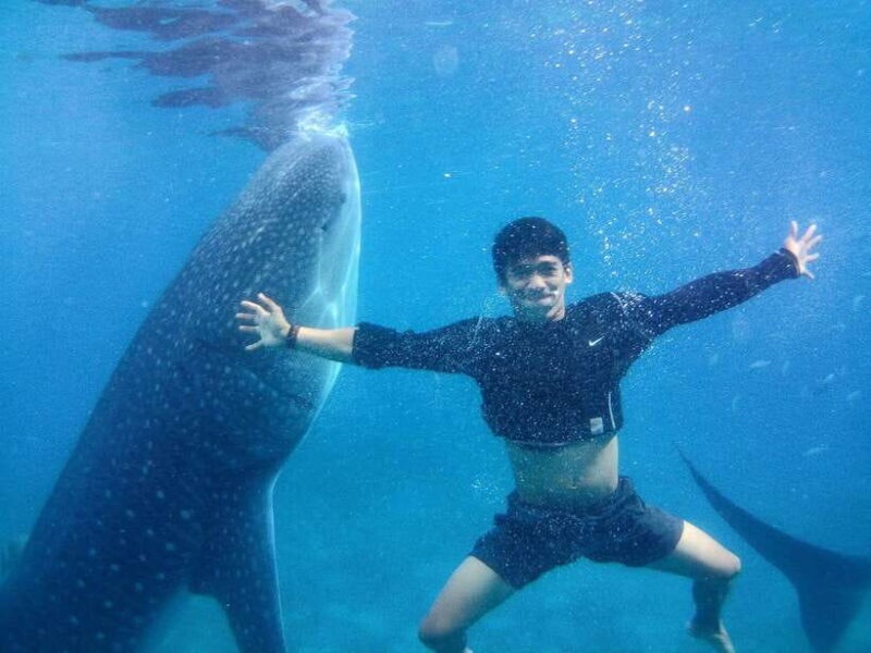 Cebu: Oslob Whale Shark Encounter & SUMILON with Transfers - What’s Included and What’s Not