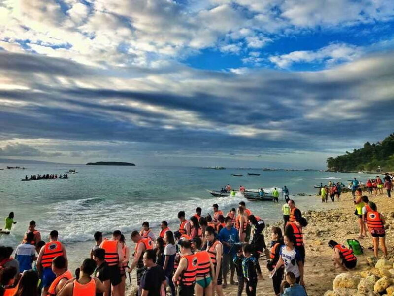 Cebu: Oslob Whale Shark Swimming - Authentic Experiences and Tips