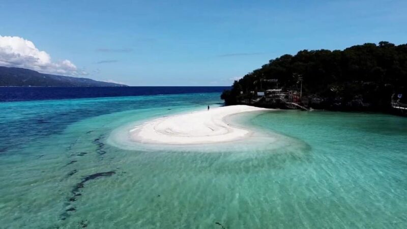 Cebu: Oslob Whale Shark Watching, Tumalog Falls, and … - Key Points