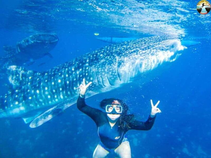 Cebu: Oslob Whale Sharks & Kawasan Canyoneering Group Tour - A Practical Guide to the Tour
