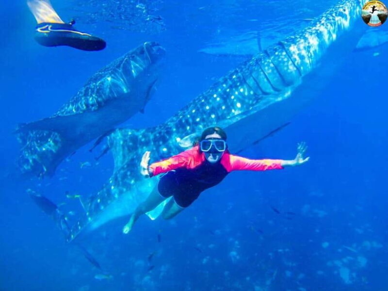 Cebu: Oslob Whale Sharks & Kawasan Canyoneering Group Tour - Suitable for Whom?