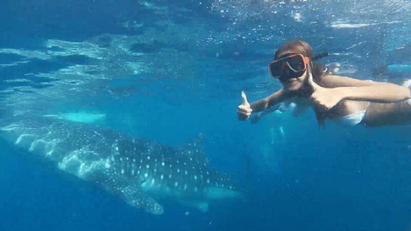 Cebu: Oslob Whaleshark & Canyoneering Group Tour with Lunch - The Practical Side: Transportation, Safety, and Group Size
