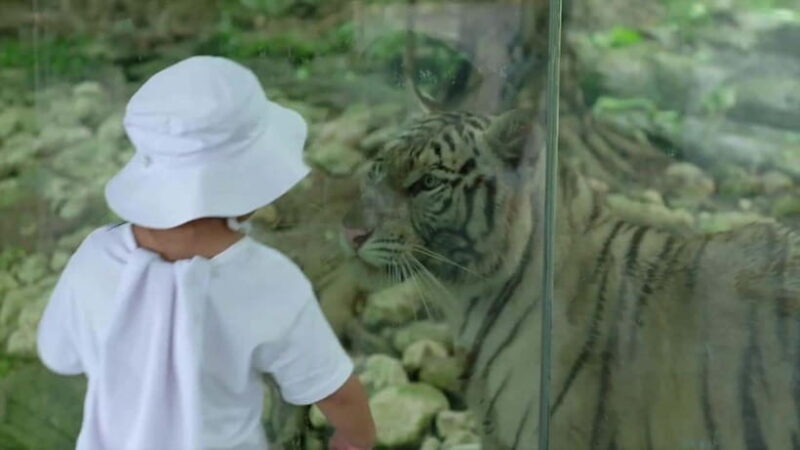 Cebu Safari & Adventure Park: Wildlife Tour with Transfers - Final Thoughts