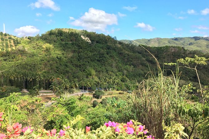 Cebu Safari and Adventure Park - Transportation Details