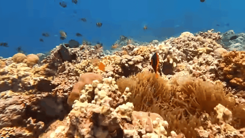 Cebu: Sardine Run Snorkeling, Mantayupan Falls & ATV Thrills - Mantayupan Falls Exploration