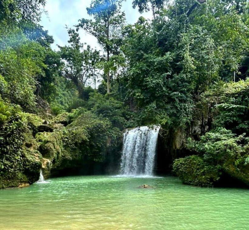 Cebu Shared Tour: Whaleshark Swimming & Kawasan Canyoneering - Introduction: What’s Inside This Tour?