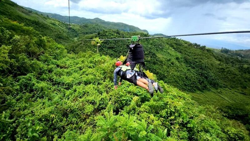Cebu Shared Tour: Whaleshark Swimming & Kawasan Canyoneering - The Sum Up: Who Will Love This Tour?