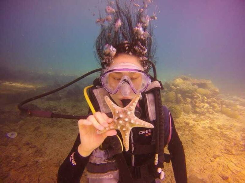 CEBU: Try diving & souvenir underwater photo - Practical Tips for Participants
