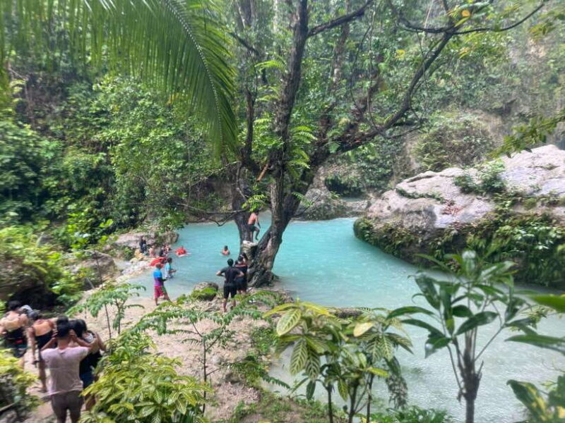 Cebu: Whale Shark, Inambakan Falls & Moalboal Sardine Tour - Starting with a Bang: Whale Shark Watching in Oslob
