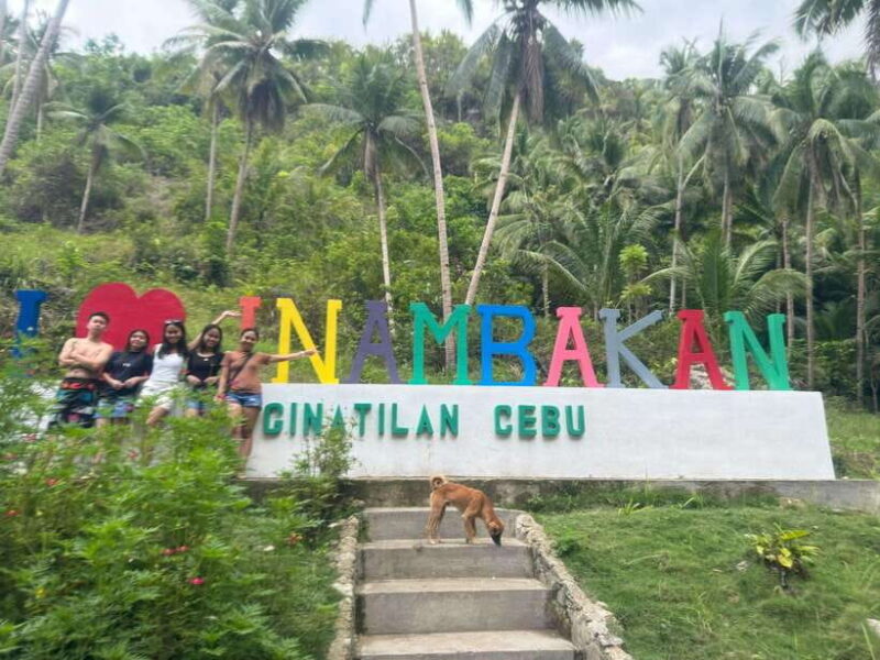 Cebu: Whale Shark, Inambakan Falls & Moalboal Sardine Tour - Lunch and Transition to Moalboal